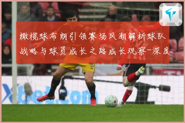 橄榄球布朗引领赛场风潮解析球队战略与球员成长之路成长观察-深度解析